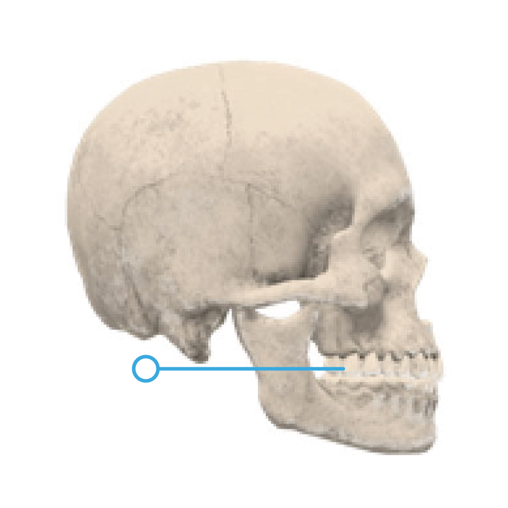 pour référencement